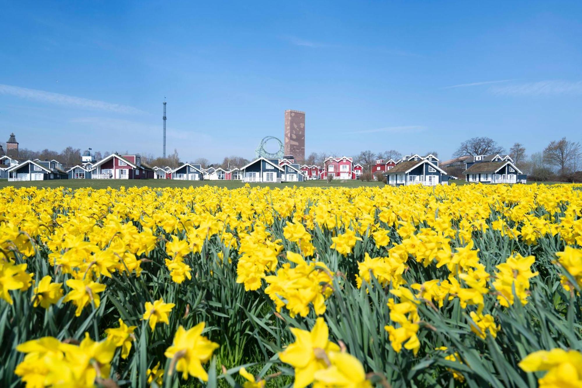 Strandpark Sierksdorf H058 Luaran gambar